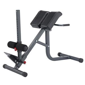 Купить Гиперэкстензия 2 в 1 (римский стул) Body Craft F670 в Нижняятуре 