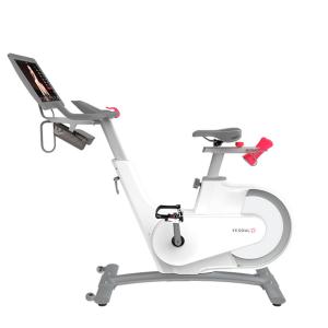 Купить Велотренажер Yesoul BV1-W PLUS в Нижняятуре 